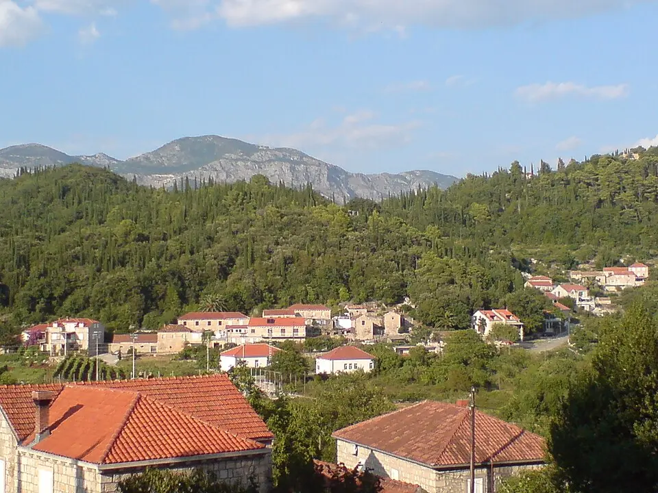 Popovići