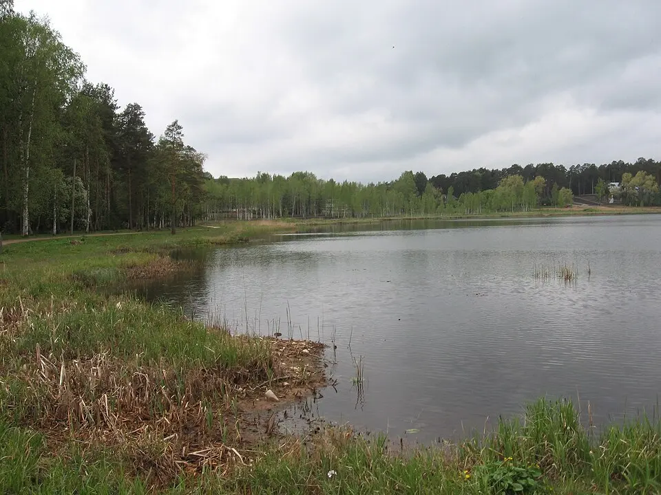 Arbi järv