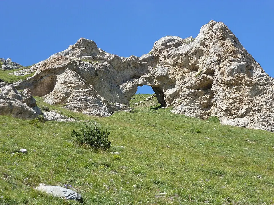 Tête du Portail