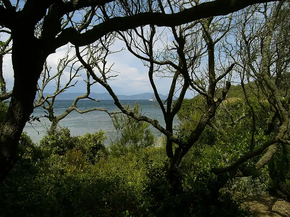 parc national de Port-Cros
