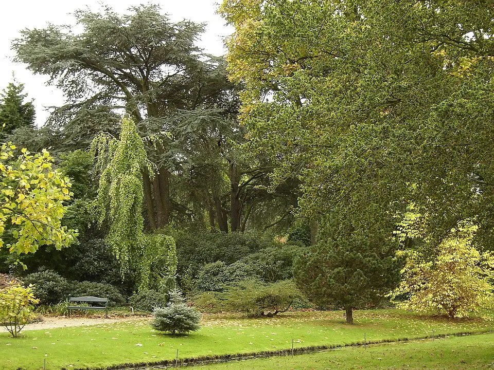 jardins et arboretum de Trompenburg