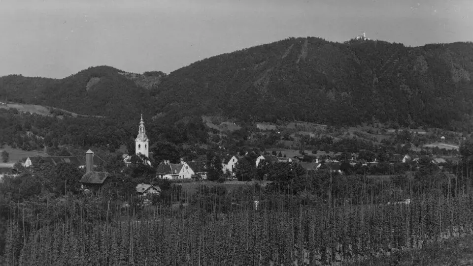 Občina Šmartno ob Paki