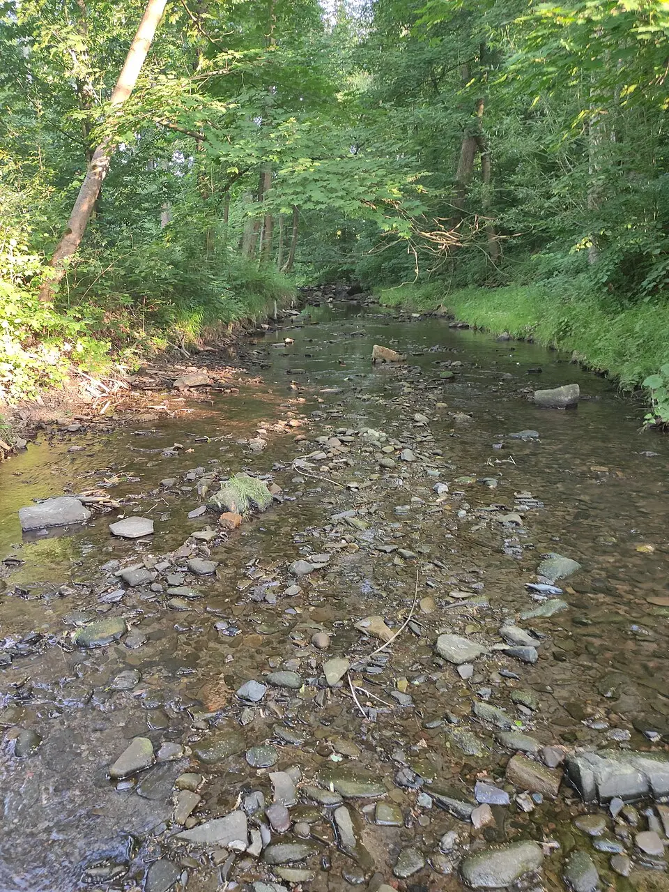Ošetnice