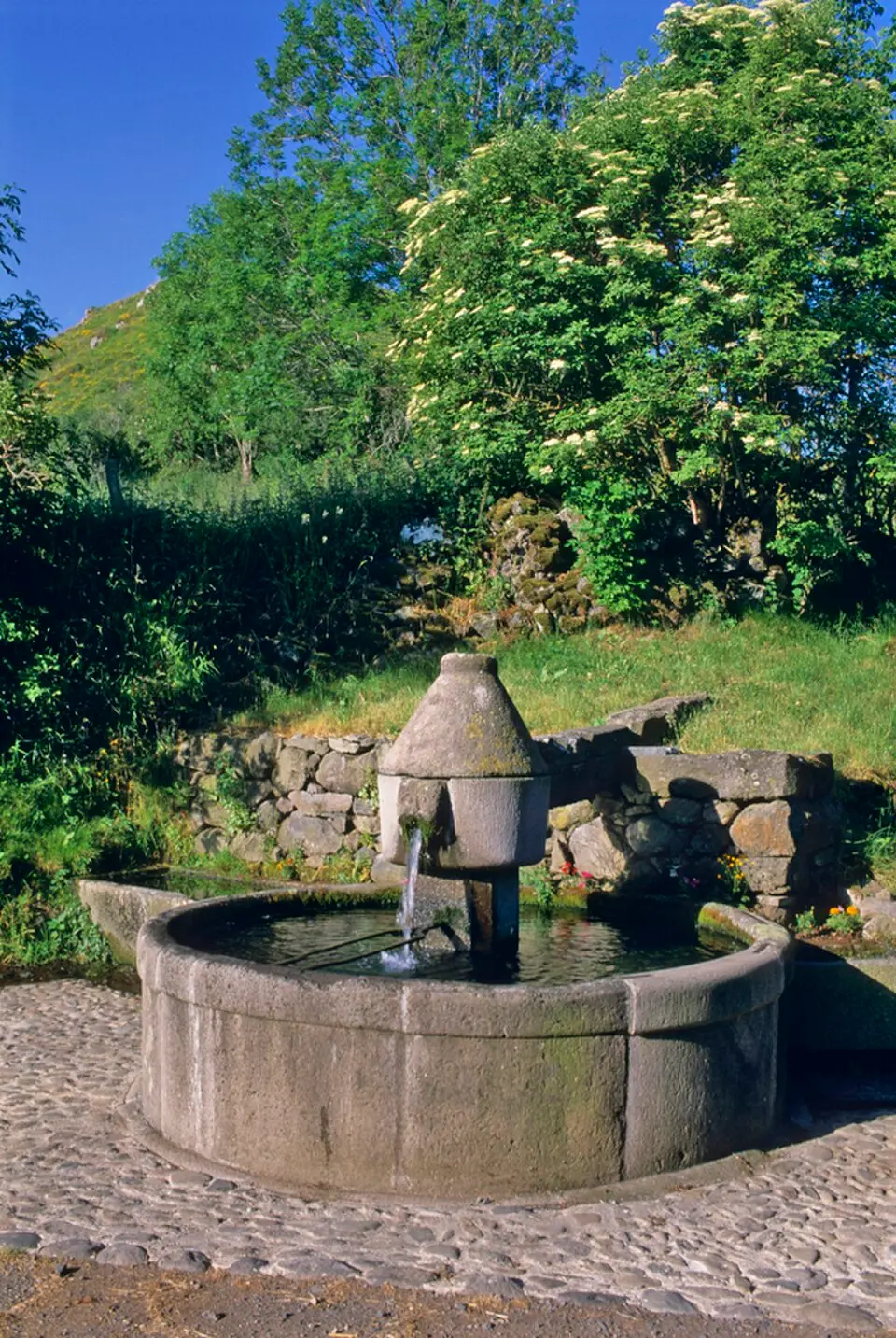 fontaine d'Albepierre-Bredons