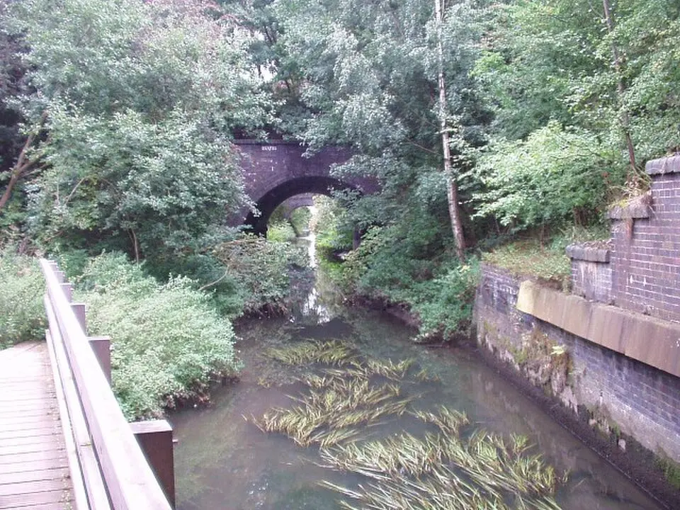 Potteric Carr Nature Reserve