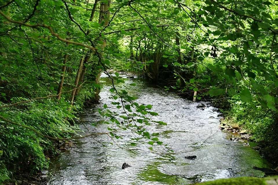 Lembrée