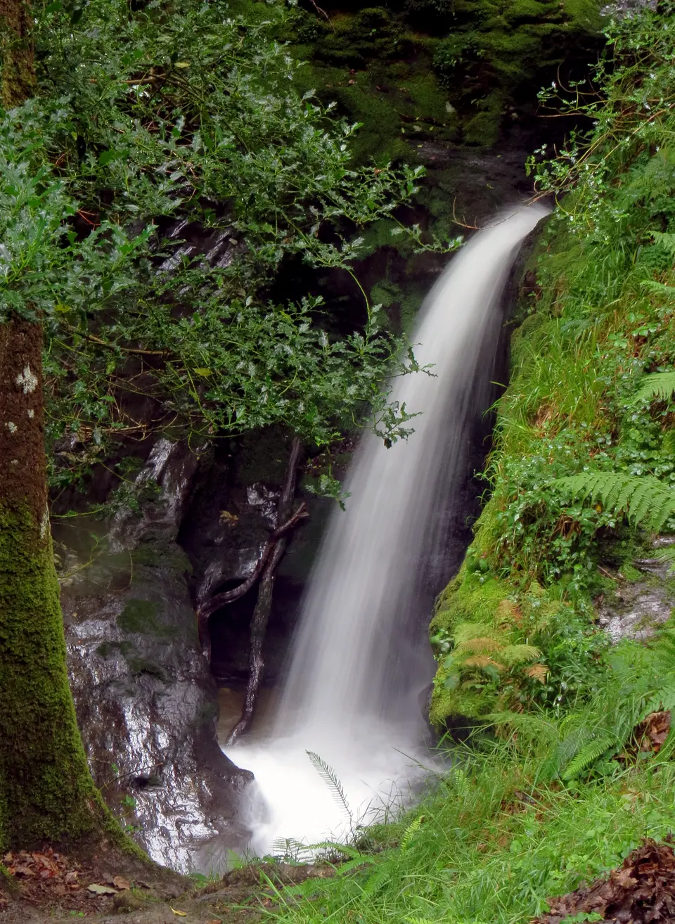 Poulanass Waterfall