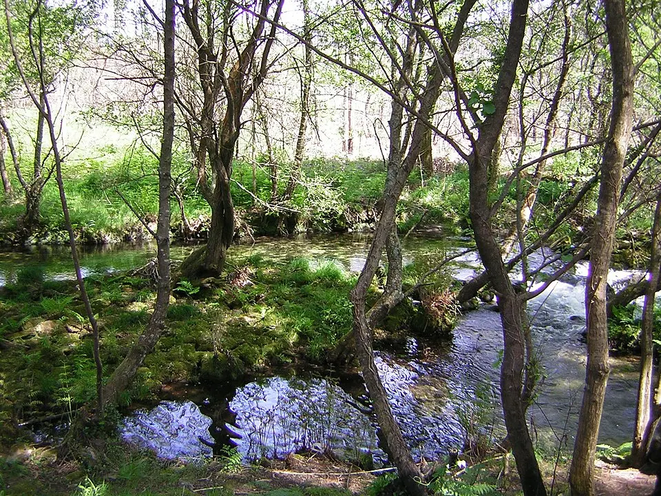 Río Te