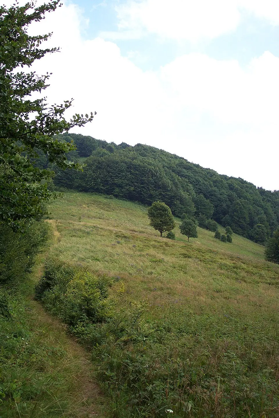Obrázok: Juandev · CC BY-SA 3.0 Šípková