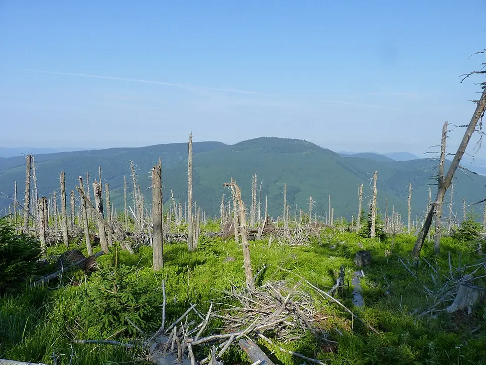 Magurka (Moravsko-sliezske Beskydy)