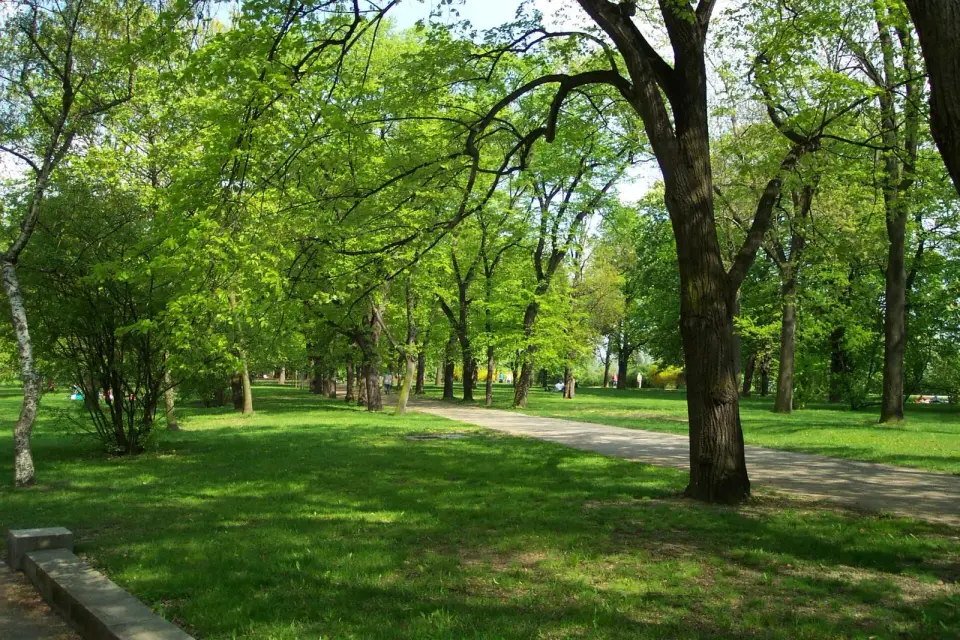 Letná