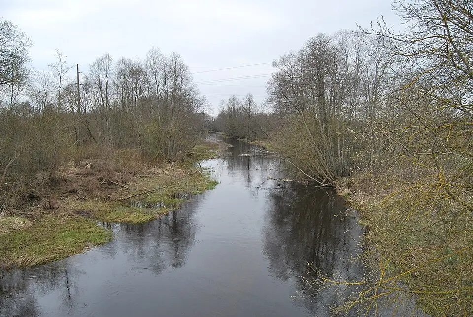 Prandi jõgi