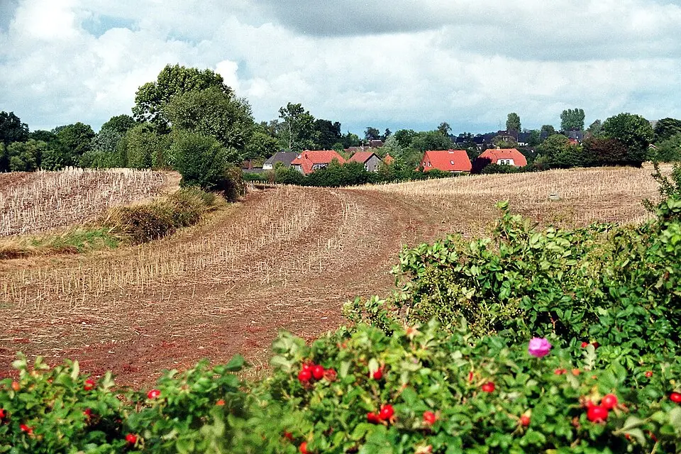 Prasdorf