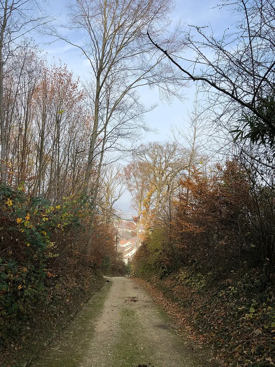 Paläolithische Faustkeilfundstelle Hohle Gasse