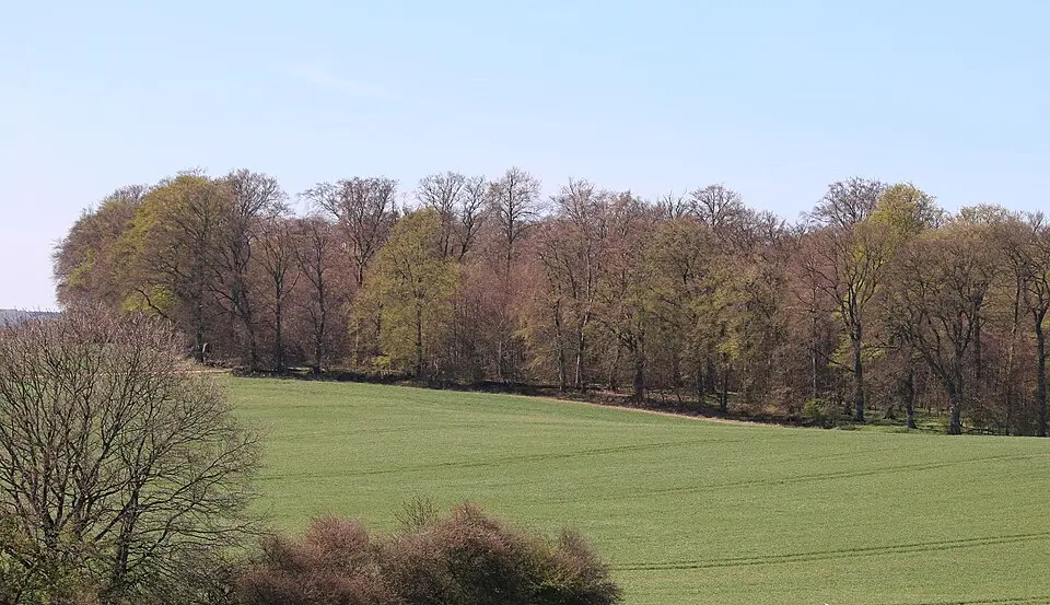 Prästaskogen