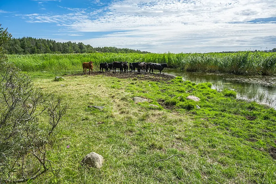 Prästgårdsnäset Naturskyddsområde