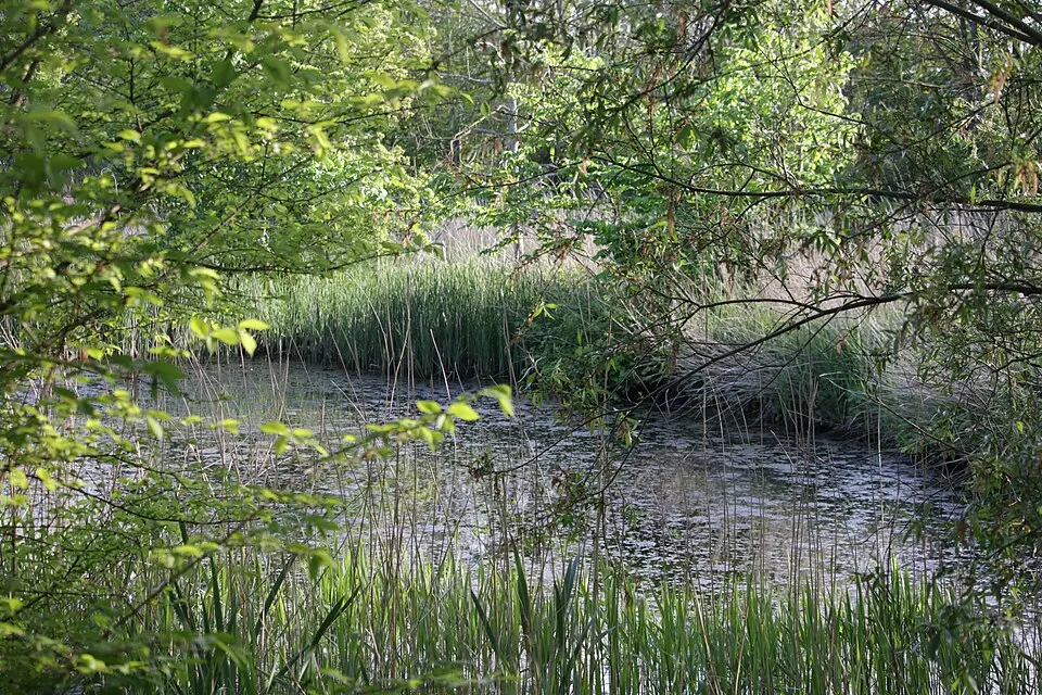 Pråmlyckans naturreservat