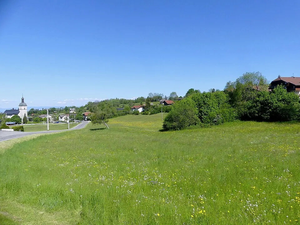 Thollon-les-Mémises