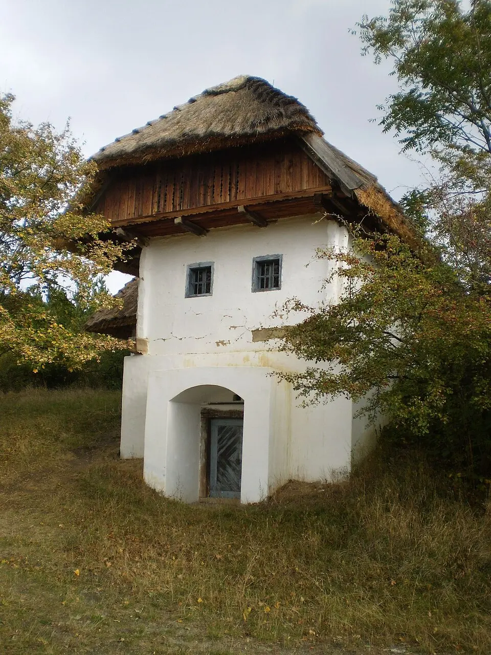 Redič
