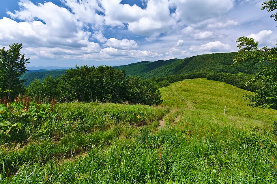 Prírodná rezervácia Borsukov vrch