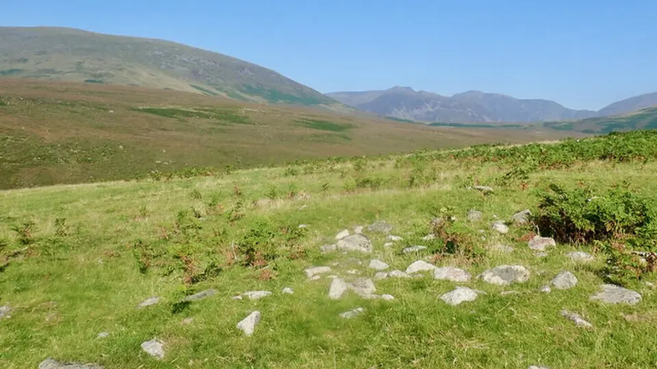 Prehistoric enclosure, hut circle and adjacent cairnfield east of Whillan Beck, Burnmoor