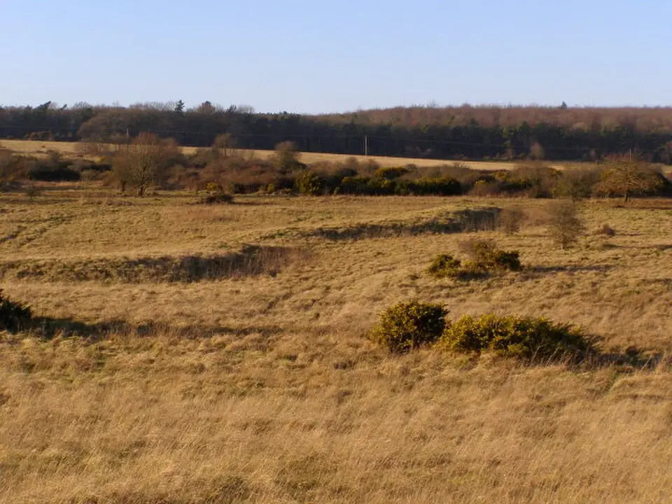 Bronze Age and Romano-British enclosure on Martin Down, east of Bokerley Junction
