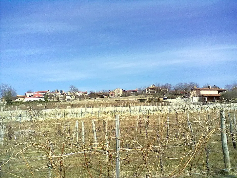 Prepotto