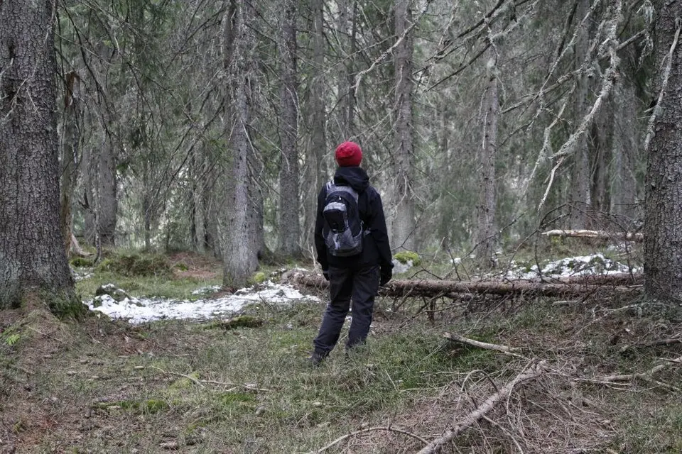 Presteseter