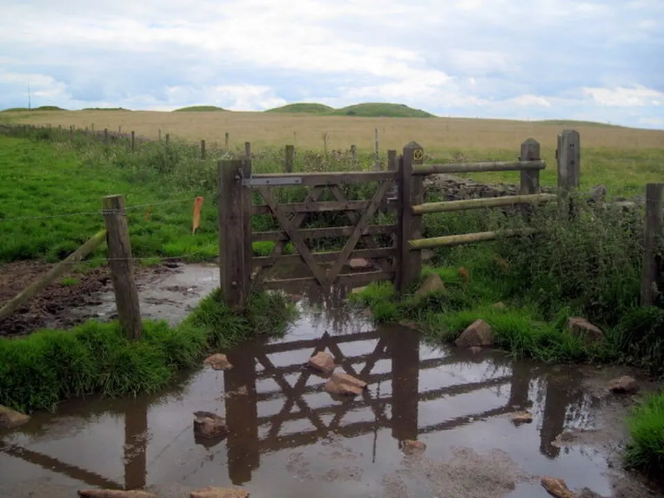 Priddy Nine Barrows