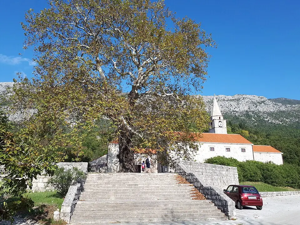 Pridvorje (Konavle)