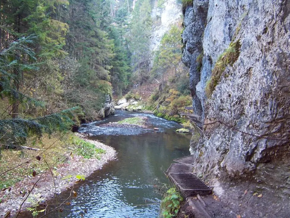 Paradiso slovacco