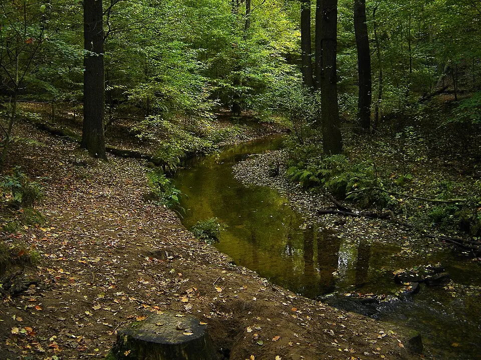 Prießnitz