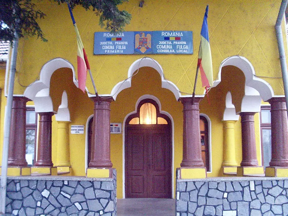 Fulga