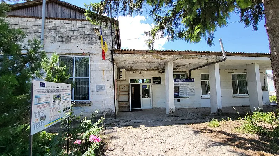 Bălțata