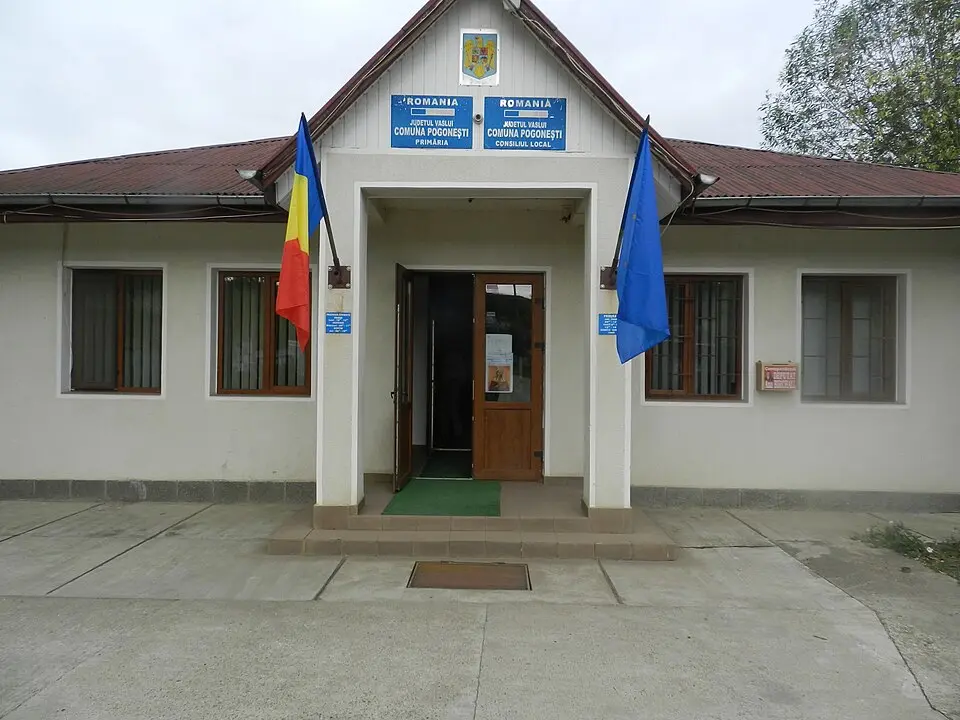 Pogonești