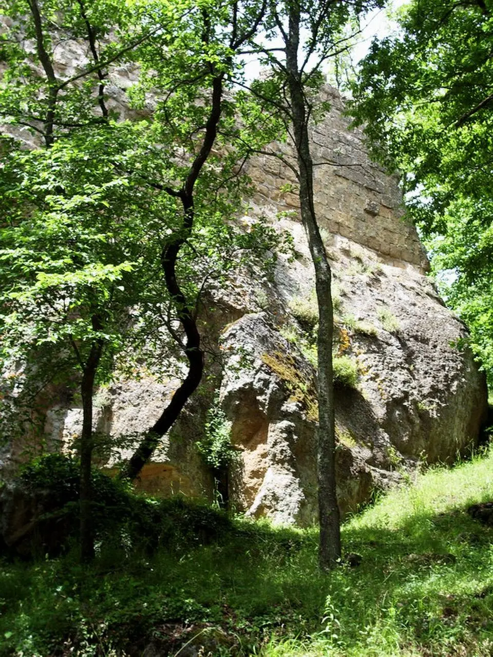 Vitozza