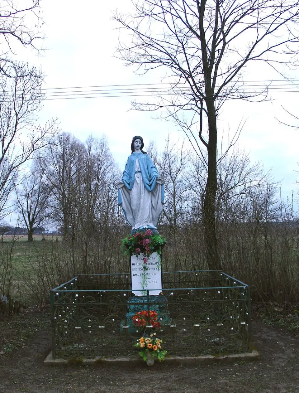 Proboszczewice