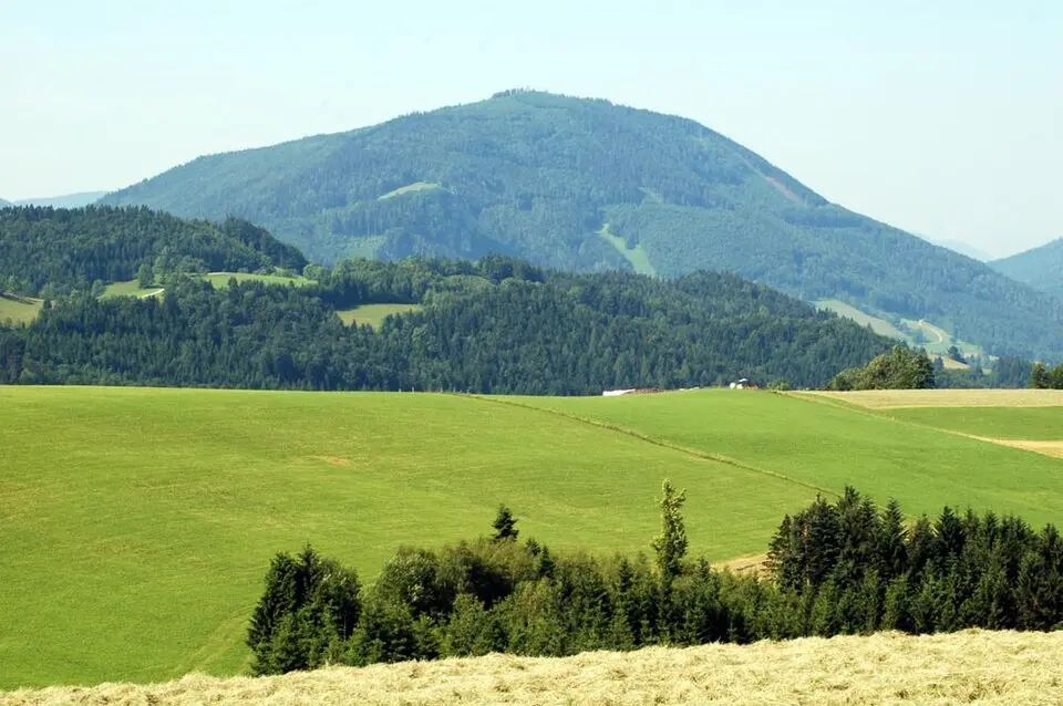 Prochenberg