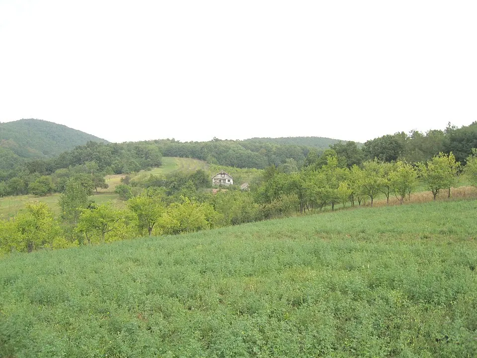 Toplica District