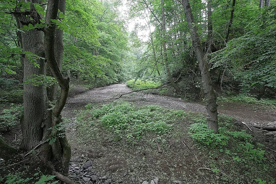 Obrázek: Prazak · CC BY 2.5 Nová Rasovna