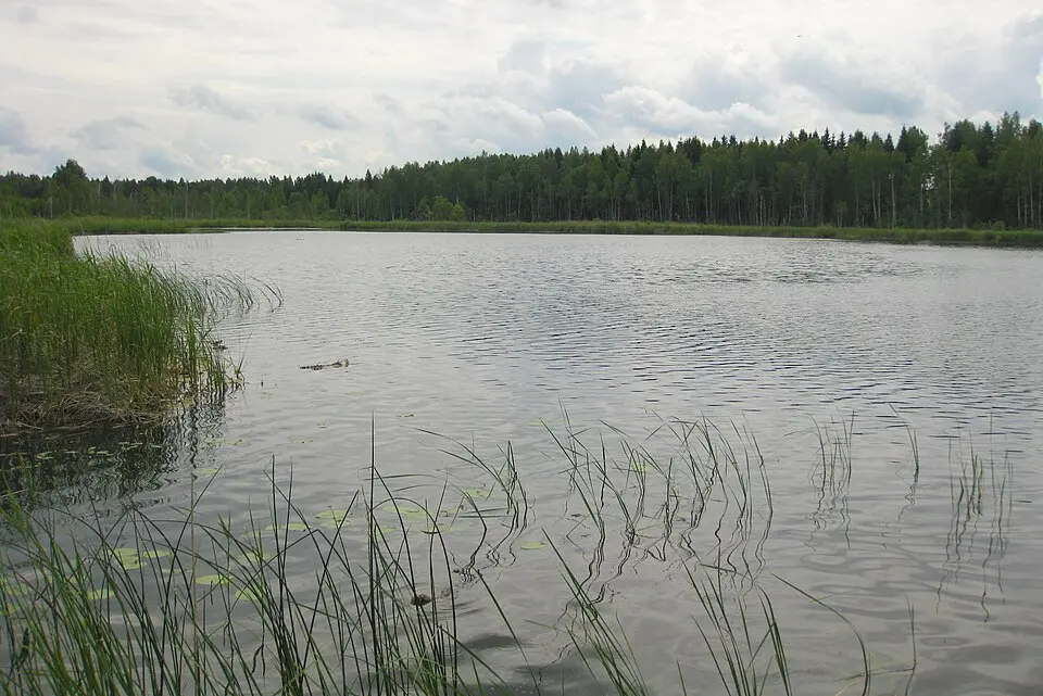 Prossa järv