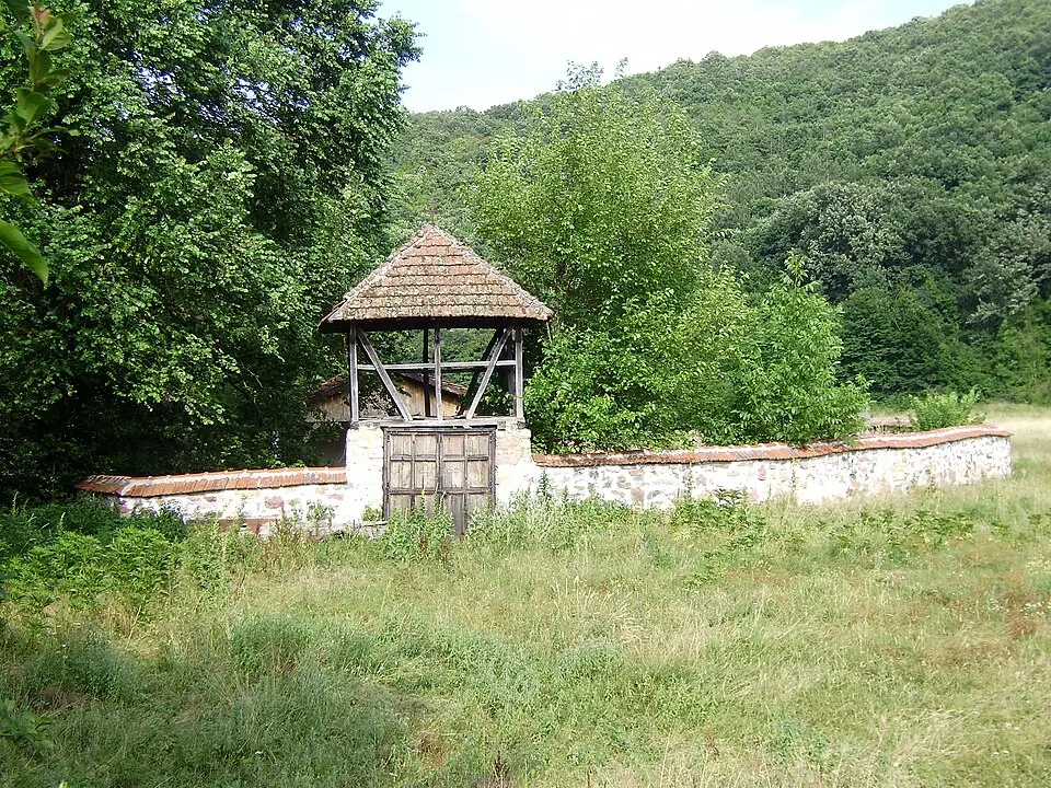 Protopopinci