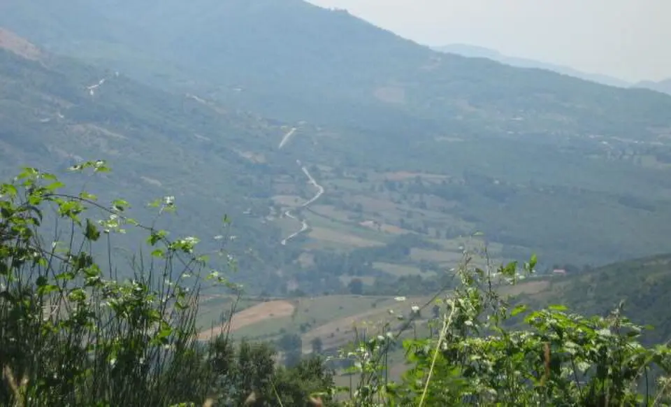 Pruno