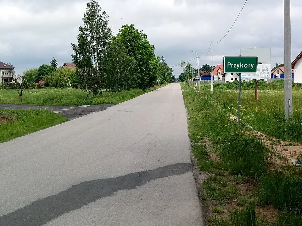 Przykory