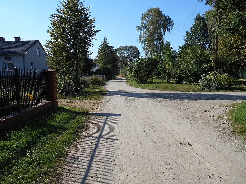 Ptaki