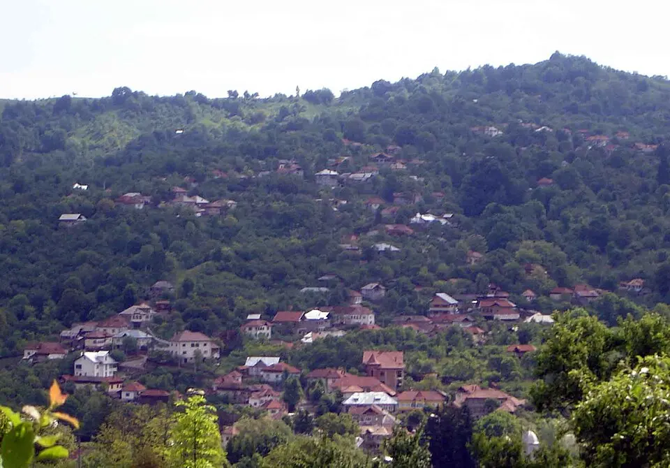 Pucheni