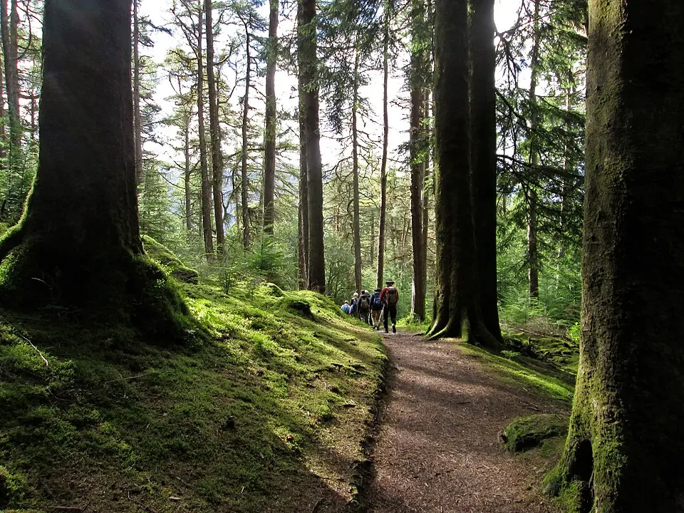 parc forestier d'Argyll