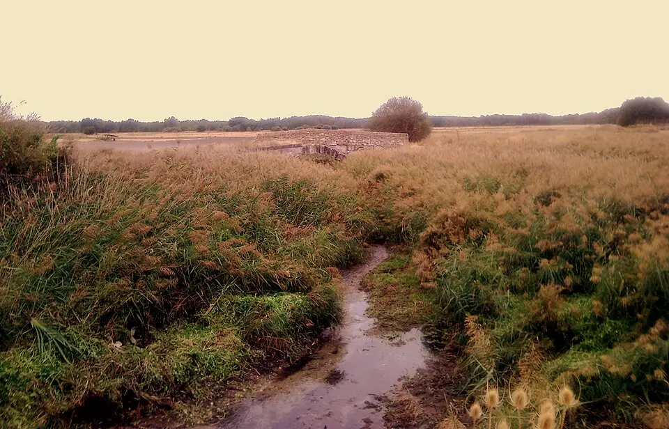 Arroyo Cerquilla