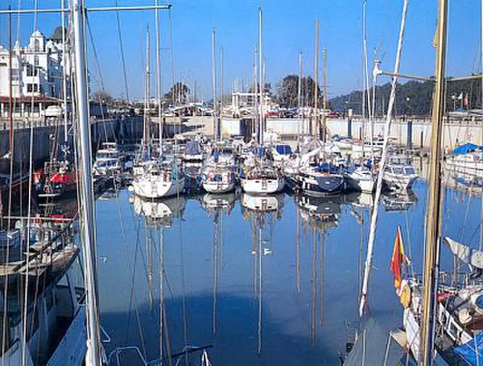 Image: Agustinis · CC BY-SA 3.0 Gelves
