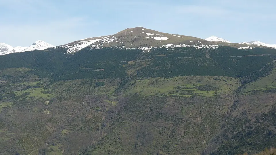Puig Cerverís